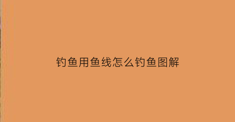 钓鱼用鱼线怎么钓鱼图解