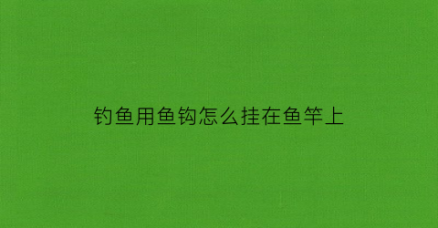 钓鱼用鱼钩怎么挂在鱼竿上(钓鱼鱼钩怎么绑到杆上)