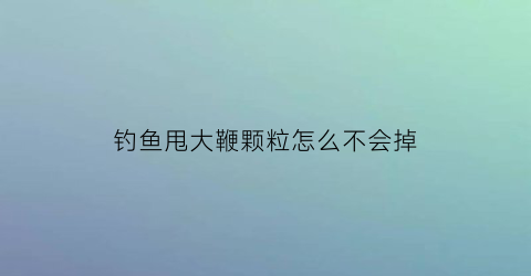 “钓鱼甩大鞭颗粒怎么不会掉(甩大鞭颗粒饵料怎么挂钩)