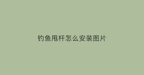 钓鱼甩杆怎么安装图片(钓鱼的甩杆怎么安装线)