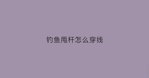 钓鱼甩杆怎么穿线(钓鱼甩杆怎么穿线视频)