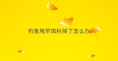钓鱼甩竿饵料掉了怎么办(甩竿饵料怎么使用)