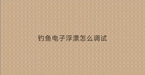 钓鱼电子浮漂怎么调试(钓鱼电子浮漂怎么调试图解)