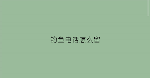 钓鱼电话怎么留
