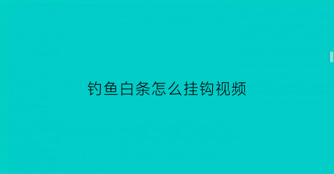 “钓鱼白条怎么挂钩视频(用白条钓鱼怎么挂钩)