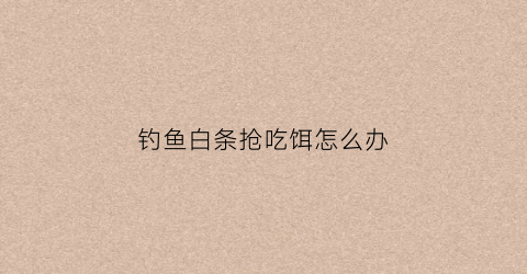 钓鱼白条抢吃饵怎么办(钓鱼白条多饵料下不去怎么办)