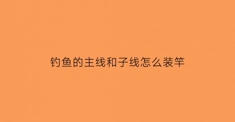 钓鱼的主线和子线怎么装竿(钓鱼的主线和子线怎么搭配)