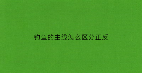钓鱼的主线怎么区分正反(钓鱼的主线如何连接)