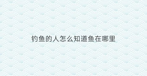 钓鱼的人怎么知道鱼在哪里(钓鱼的时候怎么知道鱼上钩了)