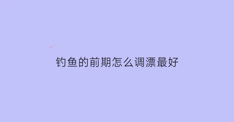 钓鱼的前期怎么调漂最好(钓鱼前的操作过程视频)