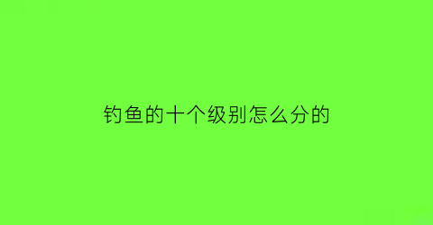 钓鱼的十个级别怎么分的(钓鱼等级排名)