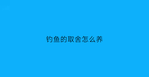 钓鱼的取舍怎么养(钓鱼的经验和技巧)