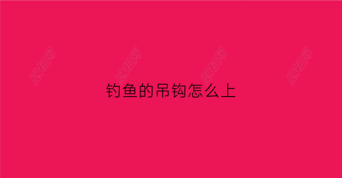 钓鱼的吊钩怎么上(吊钩的钩)