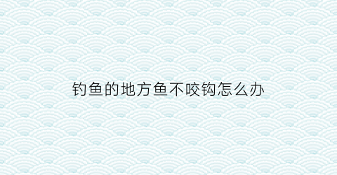 钓鱼的地方鱼不咬钩怎么办(钓鱼鱼不咬钩怎么回事)