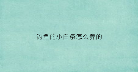 钓鱼的小白条怎么养的(如何钓小白条鱼)