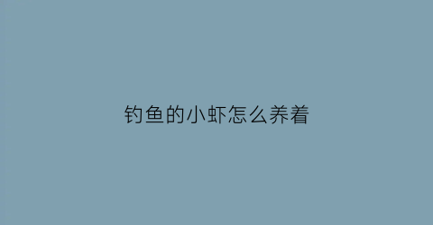 钓鱼的小虾怎么养着(钓的虾怎么才能养活)