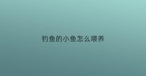 钓鱼的小鱼怎么喂养