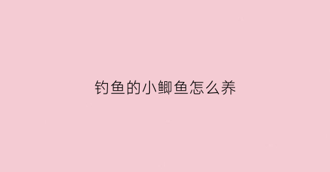 钓鱼的小鲫鱼怎么养