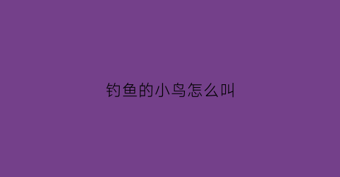 钓鱼的小鸟怎么叫(钓鱼的小鸟怎么叫声)