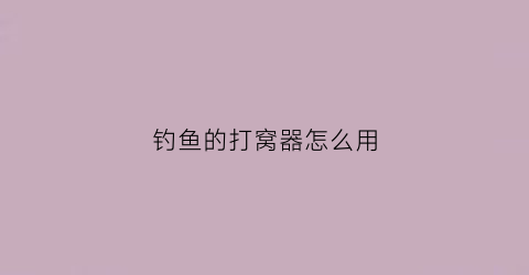 钓鱼的打窝器怎么用(垂钓打窝器)