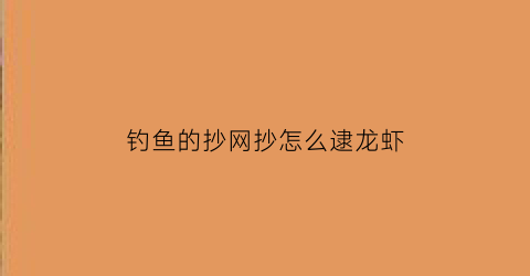 “钓鱼的抄网抄怎么逮龙虾(抄网网鱼技巧)