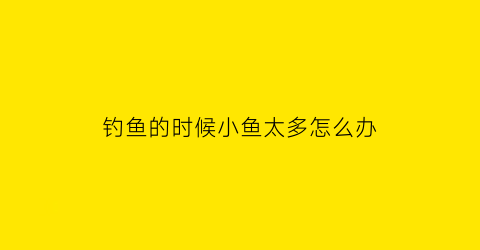 钓鱼的时候小鱼太多怎么办