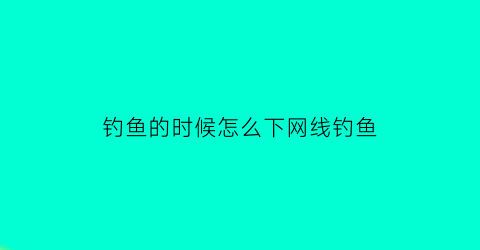 “钓鱼的时候怎么下网线钓鱼(钓鱼下网是什么意思)