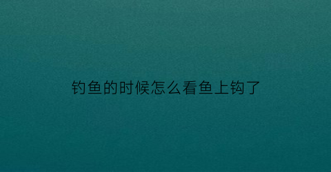 钓鱼的时候怎么看鱼上钩了