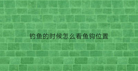 “钓鱼的时候怎么看鱼钩位置(钓鱼的时候怎么看鱼钩位置图解)