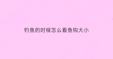 钓鱼的时候怎么看鱼钩大小(钓鱼的时候怎么看鱼钩大小呢)