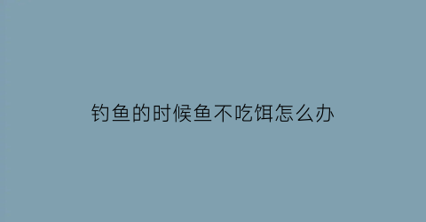 钓鱼的时候鱼不吃饵怎么办