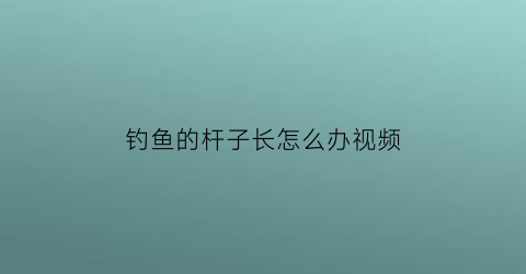 钓鱼的杆子长怎么办视频