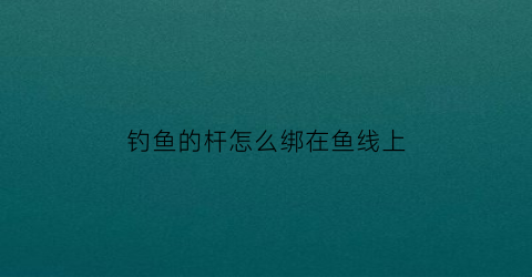 “钓鱼的杆怎么绑在鱼线上(钓鱼杆如何绑上鱼线)