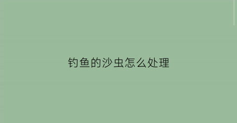 钓鱼的沙虫怎么处理(钓鱼的沙虫怎么处理视频)