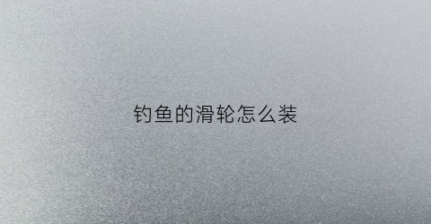钓鱼的滑轮怎么装(钓鱼滑轮怎么使用视频教程)