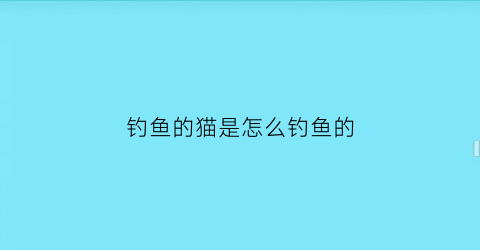 钓鱼的猫是怎么钓鱼的(猫是如何钓鱼的)