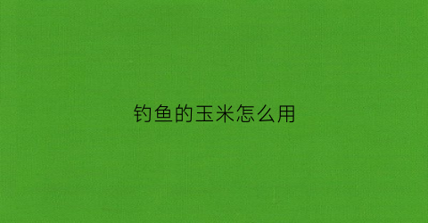 钓鱼的玉米怎么用(钓鱼的玉米怎么用最好)