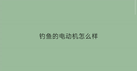 钓鱼的电动机怎么样(电动钓鱼玩具电机坏了怎么办)