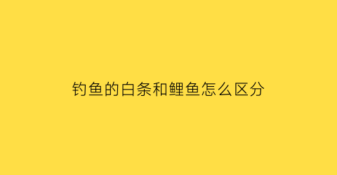 钓鱼的白条和鲤鱼怎么区分