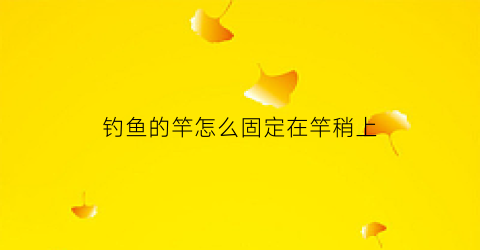 钓鱼的竿怎么固定在竿稍上(钓竿竿稍是怎么固定的)