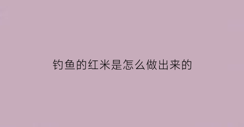 钓鱼的红米是怎么做出来的(红米鱼饵怎样使用)