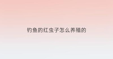 “钓鱼的红虫子怎么养殖的(钓鱼用的红虫是怎么养殖的)