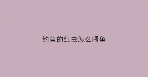 钓鱼的红虫怎么喂鱼(钓鱼红虫吃什么)