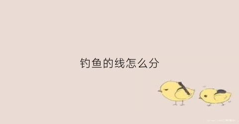 钓鱼的线怎么分(钓鱼线怎么分辨好坏)