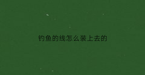 钓鱼的线怎么装上去的(钓鱼线怎么装)