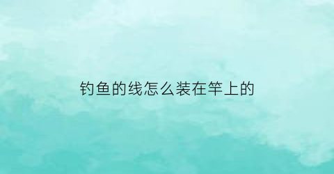 “钓鱼的线怎么装在竿上的(钓鱼线怎么绑在鱼杆上)