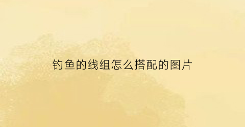 “钓鱼的线组怎么搭配的图片(钓鱼的线叫什么名字)