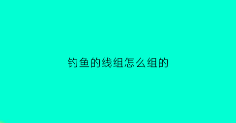 钓鱼的线组怎么组的(钓鱼线组有什么讲究)