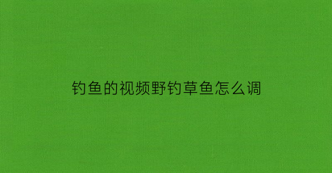 钓鱼的视频野钓草鱼怎么调(野钓草鱼技巧视频)
