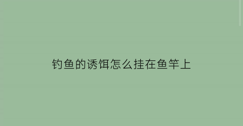 “钓鱼的诱饵怎么挂在鱼竿上(钓鱼鱼饵怎么挂在钩上)